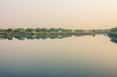 Chennai şehrinin kalbinden akan Coovum Nehri kıyılarının manzarası, Tamil Nadu, Hindistan. Nehir suyu ve ağaçlara odaklan.