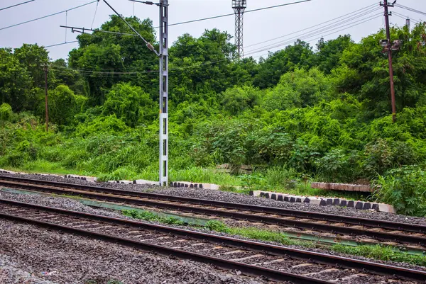 View Indian Railway Lines Thick Green Forest Area Railway Tracks — Stockfoto