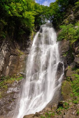Makhuntseti şelalesi, Ajara 'nın en yüksek şelalelerinden biri. Bir Acharistsqali nehrinde suyun dikey bir düşüş ya da bir dizi dik düşüş üzerinden aktığı yerde. 