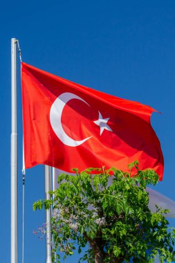 Türkiye bayrağı. Bayrak direğinde mavi gökyüzüne karşı Türk bayrağı. Beyaz yıldız ve hilal ile kırmızı bayrak. Sıklıkla 