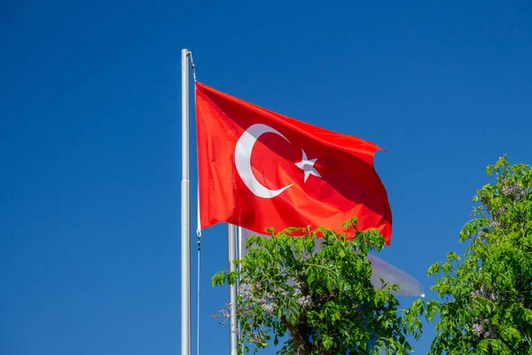 Türkiye bayrağı. Bayrak direğinde mavi gökyüzüne karşı Türk bayrağı. Beyaz yıldız ve hilal ile kırmızı bayrak. Sıklıkla 