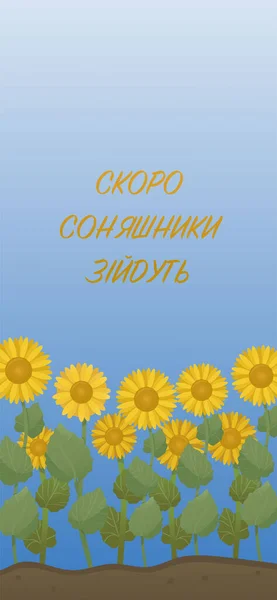Slunečnice Brzy Vyraší Ukrajinštině Slunečnice Jako Symbol Ukrajiny Modlete Ukrajinu — Stockový vektor