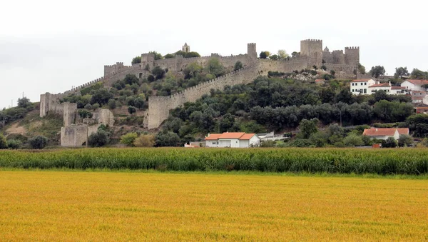 Γενική Άποψη Του Montemor Velho Πάνω Από Αγροτεμάχια Βόρεια Της — Φωτογραφία Αρχείου