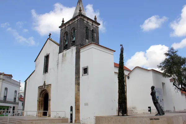 Ortaçağ Rönesans Aziz Peter Kilisesi Ünlü Manueline Portalı Torres Vedras — Stok fotoğraf