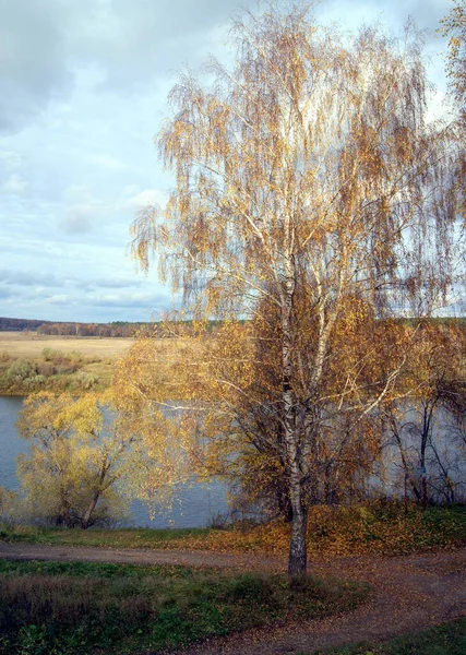 Höstlandskap Med Oka Flodkrök Vid Solnedgången Från Voskresenskaya Gora Tarusa — Stockfoto