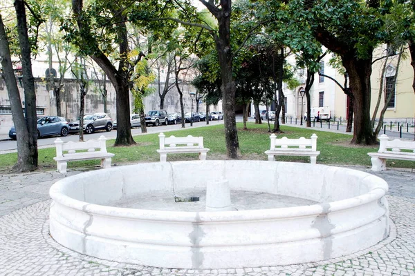 Vintage White Stone Water Fountain Public Garden Estrela Basilica Jardim — Fotografia de Stock