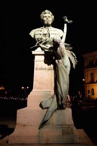 1899年にハンガリー科学アカデミーの前に設置されたギュラ ヤンコヴィットによる19世紀の言語学者でハンガリー語教育の推進者であるガボール サルバス記念碑は 2011年6月29日にハンガリー ブダペストの夜にライトアップされた — ストック写真