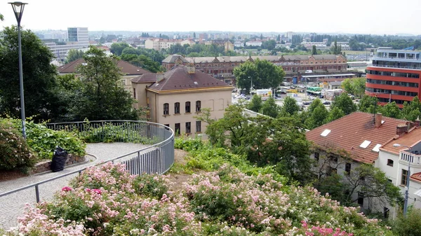 Πανοραμική Άποψη Του New Gardens District Town Μπρνο Τσεχία Ιουνίου — Φωτογραφία Αρχείου