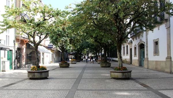 Cena Rua Cidade Velha Ladeada Por Pedestres Francisco Sanches Nas — Fotografia de Stock