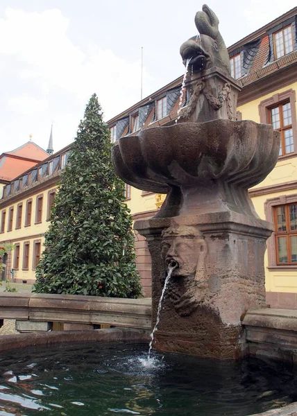 Fuente Pescado Punto Referencia Situado Junto Palacio Ciudad Fulda Alemania —  Fotos de Stock