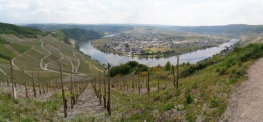 Moselle nehir kıvrımının panoramik manzarası, Bağların arasındaki vadiye giden yollar, Piesport, Almanya - 4 Mayıs 2022