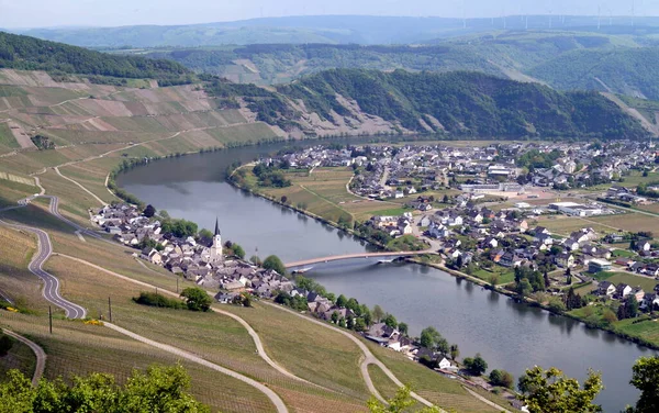 Moselle Riverbend Winding Roads Valley Vineyards Piesport Germany May 2022 — 图库照片