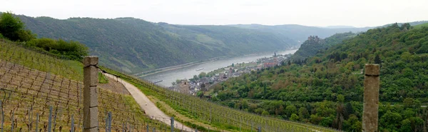 Panoramic View River Rhine Valley Vineyards Left Bank Hills Oberwesel — 스톡 사진