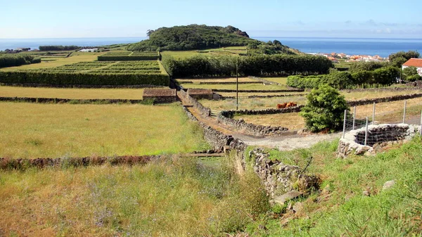 Paisagem Rural Perto Porto Judeu Oceano Atlântico Fundo Perto Porto — Fotografia de Stock