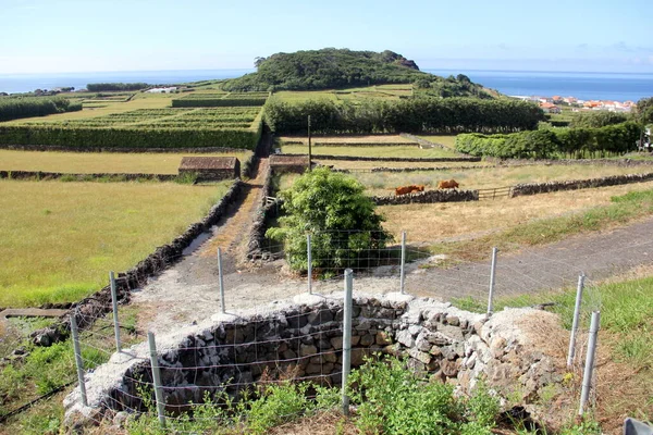 Paisagem Rural Com Monte Vulcânico Oceano Atlântico Fundo Perto Porto — Fotografia de Stock
