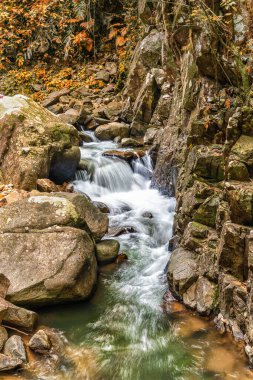 Sonbahar mevsiminde turuncu yapraklı şelalenin doğal manzarası.