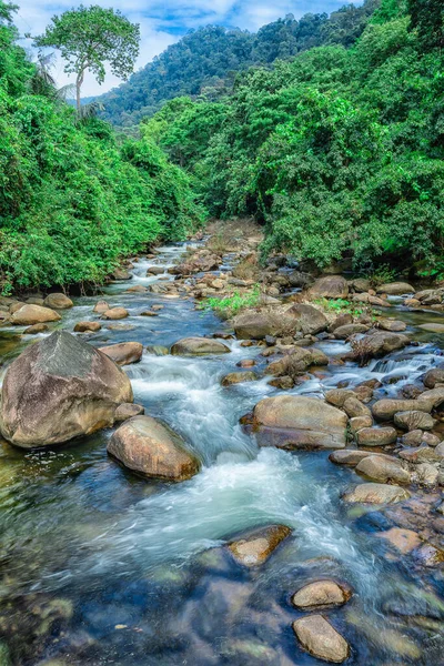 Hareket halindeki doğal manzara buhar ve şelalenin buhar akışını ve tropikal kuşağın yeşil ön planına sahip yeşil ağacı bulanıklaştırdı.