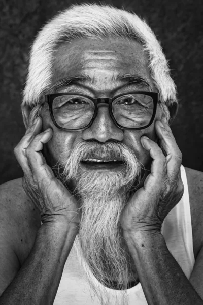 Stúdió Fej Lövés Portré Kínai Öreg Férfi Fehér Haj Szakáll — Stock Fotó
