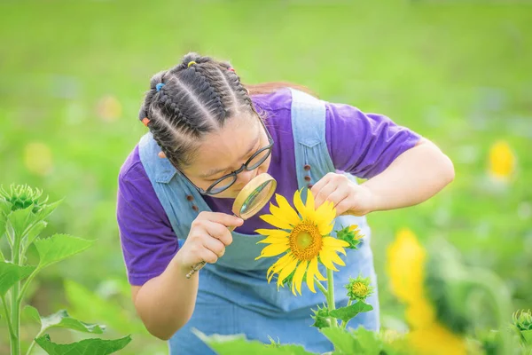 Young Girl Syndrome Exploring Sunflower Magnifying Glass Outdoors Park — Zdjęcie stockowe