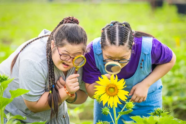 Two Female Young Friends Syndrome Exploring Sunflower Together Magnifying Glass — Zdjęcie stockowe