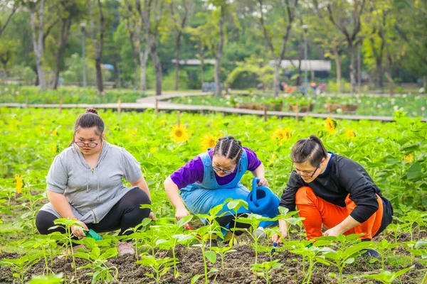 Group Friends Autism Syndrome Learning Gardening Together Outdoors Sunflower Farm — Zdjęcie stockowe