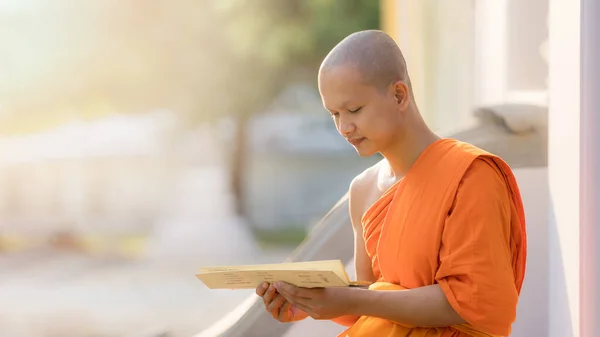 Νεαρός Βουδιστής Μοναχός Στο Ναό Του Βουδισμού Διαβάζοντας Βουδιστικό Βιβλίο — Φωτογραφία Αρχείου
