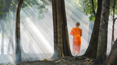 Thai ya da Myanmar ya da Kamboçya keşişi Budist manastırı ya da tapınağı ya da Tayland wat bahçesindeki ağacın altında meditasyon yapıyor.