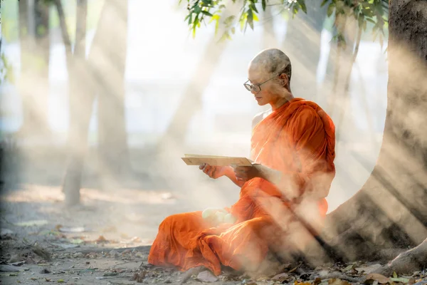 Thai Eller Myanmar Eller Kambodja Buddhistisk Munk Sitter Träd Buddhismen — Stockfoto