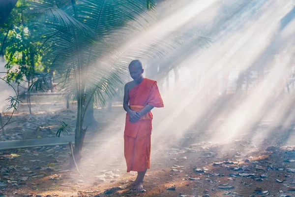 Ταϊλανδός Μιανμάρ Καμπότζη Βουδιστής Μοναχός Πρακτική Περπάτημα Διαλογισμό Κάτω Από — Φωτογραφία Αρχείου