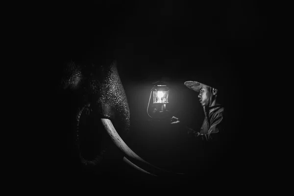 Svart Och Vit Bild Asiatisk Elefant Med Djurhållare Håller Lampa — Stockfoto