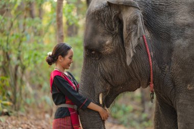 Geleneksel Taylandlı kadın köylü portresi. Büyük Asya fili gövdesi. Bir fil ile insan arasında yakın bir ilişki olduğunu gösteriyor.