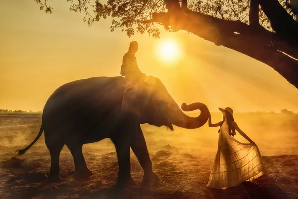 タイのスリン省旅行先で日の出の空の朝にトレーナーの乗馬や観光の女性がポーズやタッチ象のトランクとアジアゾウのシルエットの風景 — ストック写真