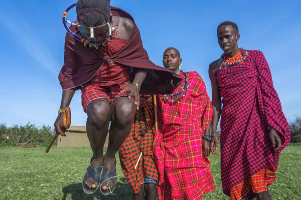 Maasai Mara Man Traditional Colorful Clothing Showing Traditional Maasai Jumping — ストック写真