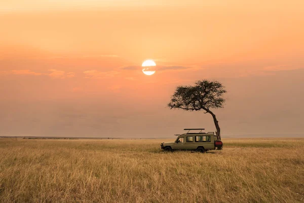 Landscape Scenery Savanna Grassland Africa Sunset Safari Tourist Travel Car — Zdjęcie stockowe