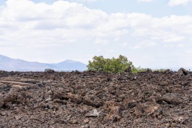 Landscape scenery of Shetani lava flow tsavo west national park Kenya