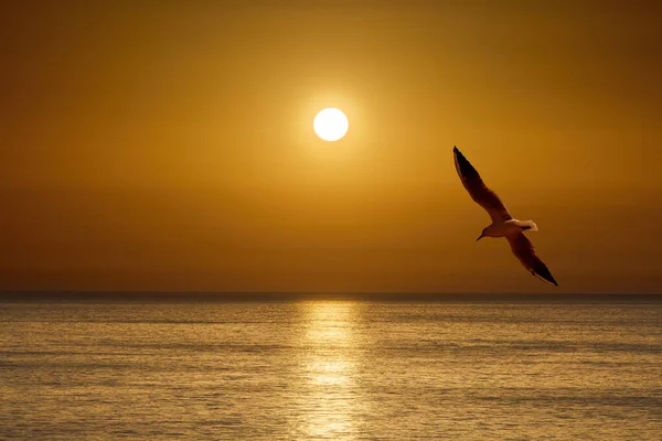 Landschaft Des Sonnenuntergangs Über Dem Meer Mit Reflexion Des Sonnenlichts — Stockfoto
