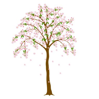 Blossom ağaç