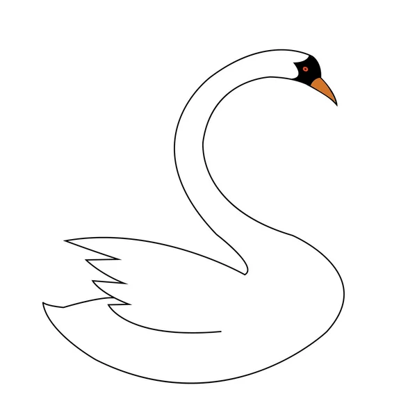 Cygne blanc — Image vectorielle