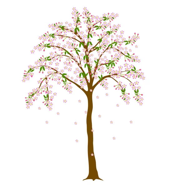 Blütenbaum — Stockvektor