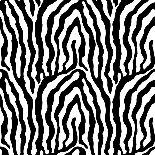 Modello zebra — Vettoriale Stock