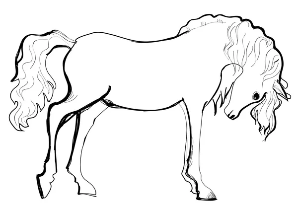 Horse sketch — Stock Vector