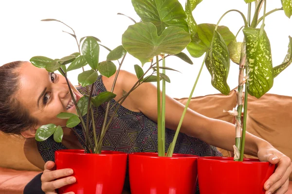 Frau liebt Zimmerpflanzen — Stockfoto