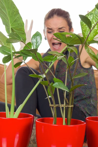 Mujer asustada de insectos en las plantas —  Fotos de Stock