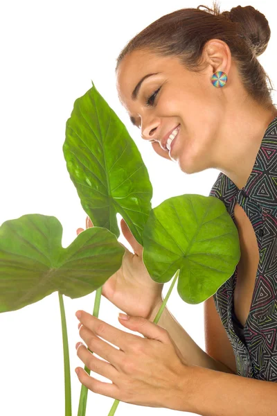 女性の植物を維持します。 — ストック写真