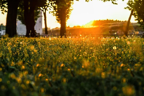 Güzel gün batımı Park'ta — Stok fotoğraf