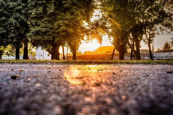 Park při západu slunce — Stock fotografie