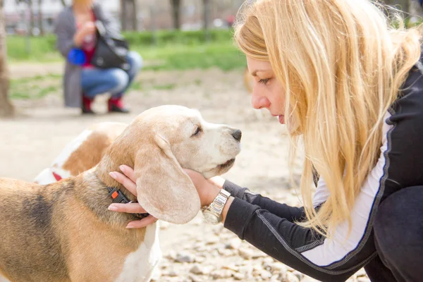 Girl talking to a dog with love — Stock Photo, Image
