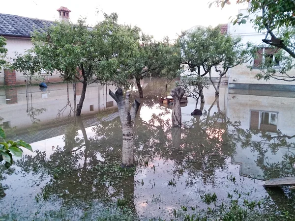 Haus mit überflutetem Obstgarten im Hinterhof nach Überschwemmungen — Stockfoto