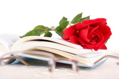 book and red rose on pages of book on white background with glas