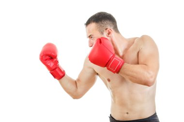 kas yetişkin boxer erkek savaşmaya hazır yan görünüm